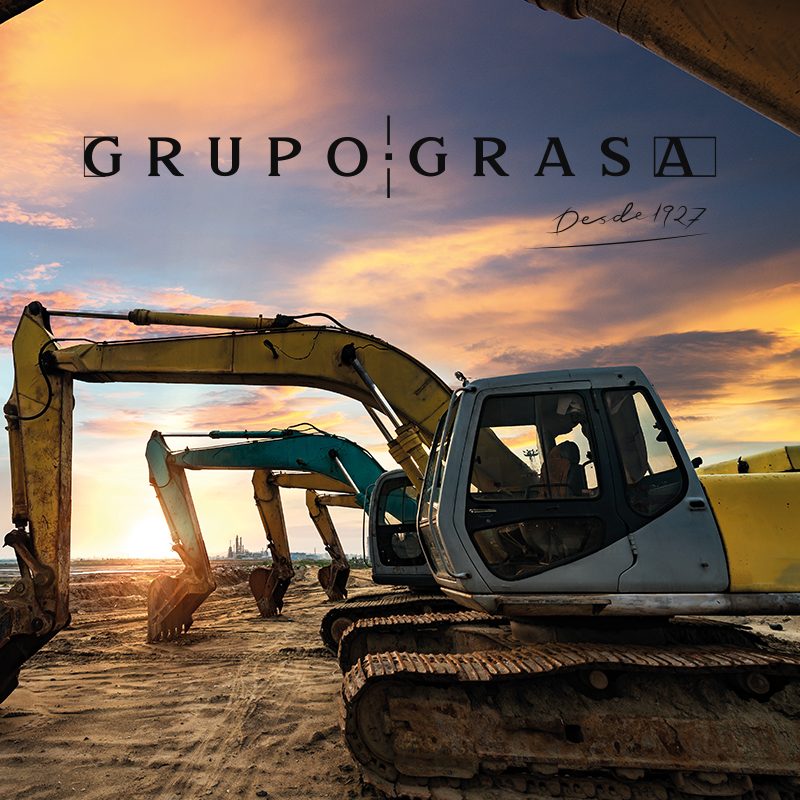 grasa
